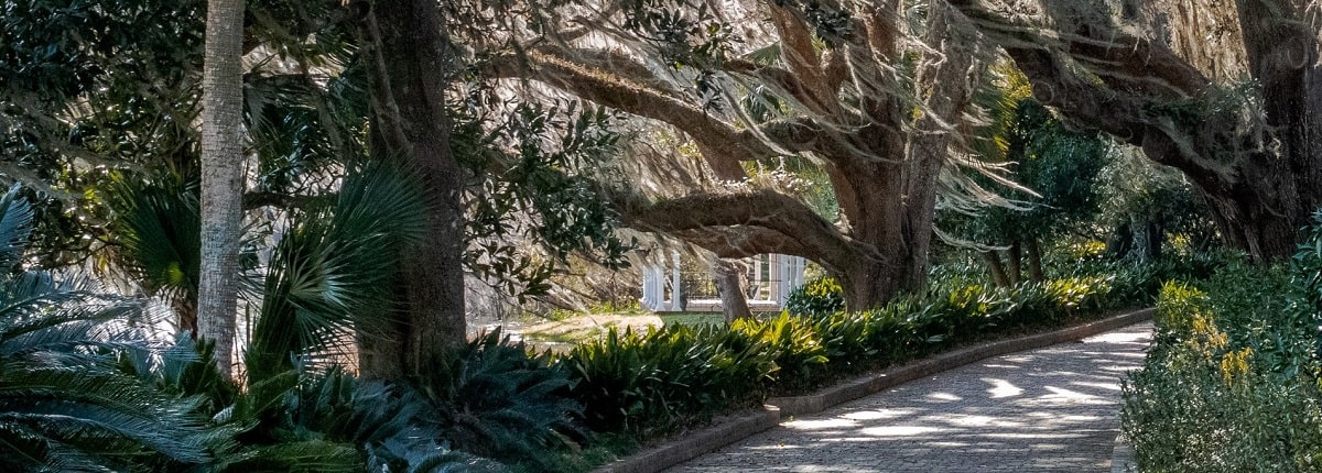 Critter Control in Tallahassee